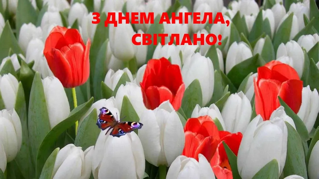 Tapтaлeтки & Ко