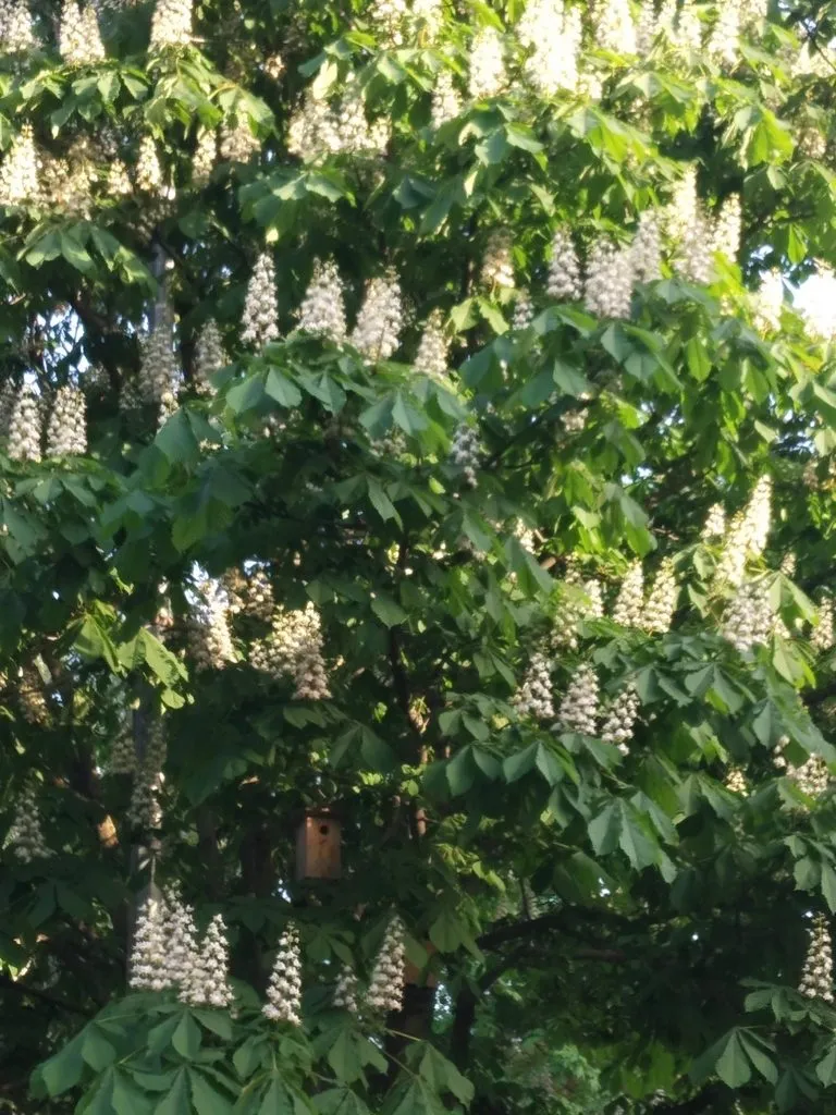 Tapтaлeтки & Ко