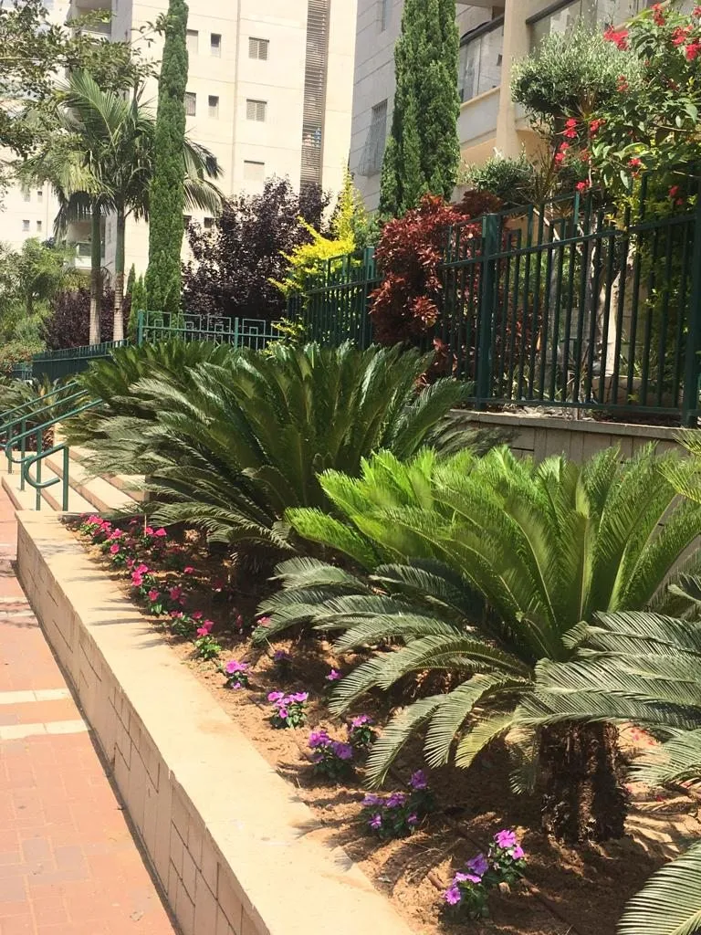 Чайная беседка