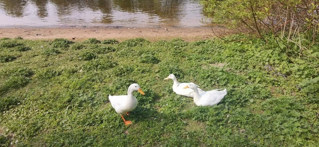 Выходные в Питере, или Куда сходить с друзьями в Санкт-Петербурге