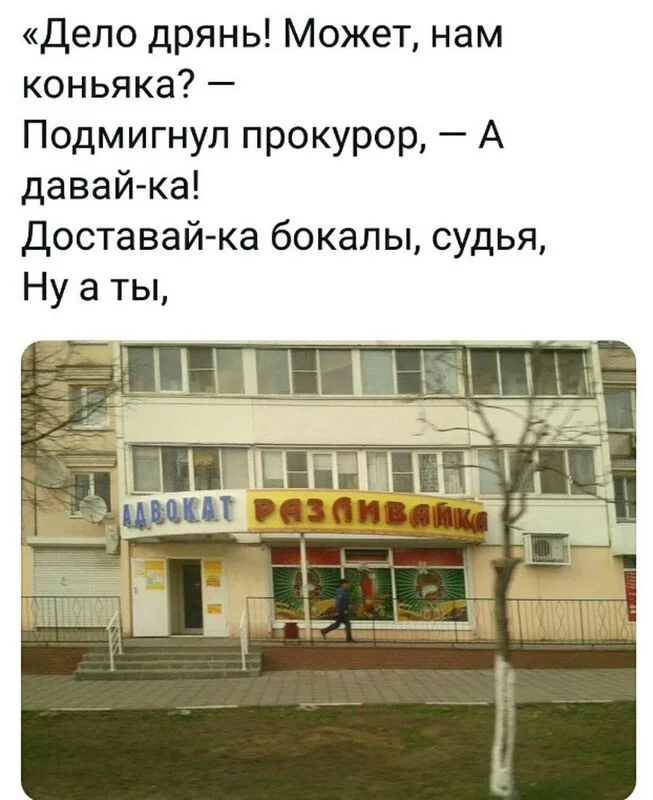 Всюду рифмы