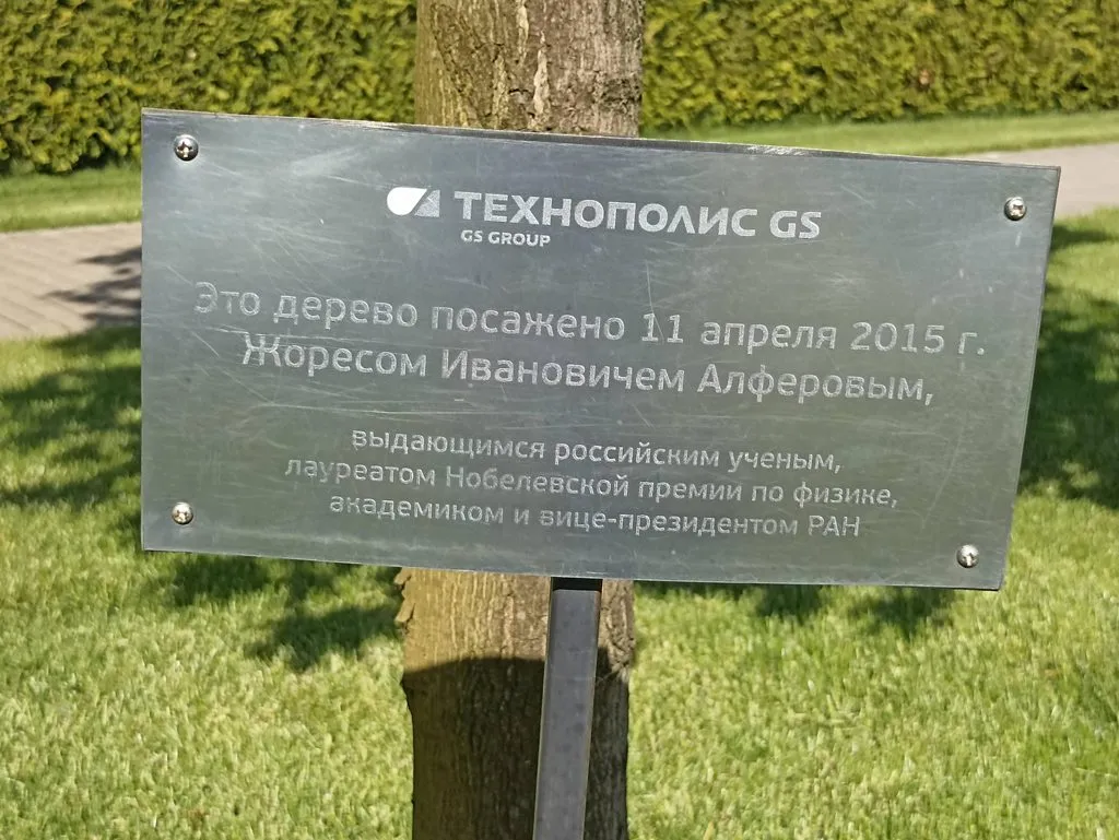 Калининградская область (не только море и янтарь) 