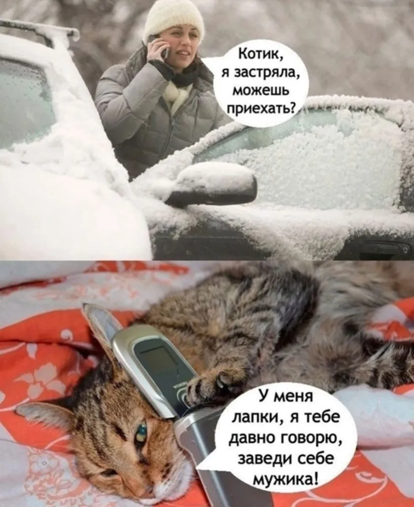 Посмеялся сам - поделись с другом!!!