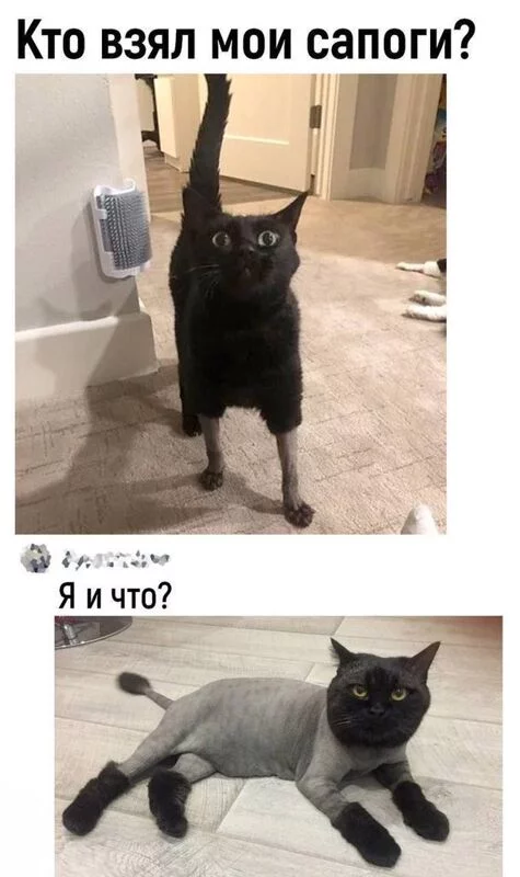 Посмеялся сам - поделись с другом!!!