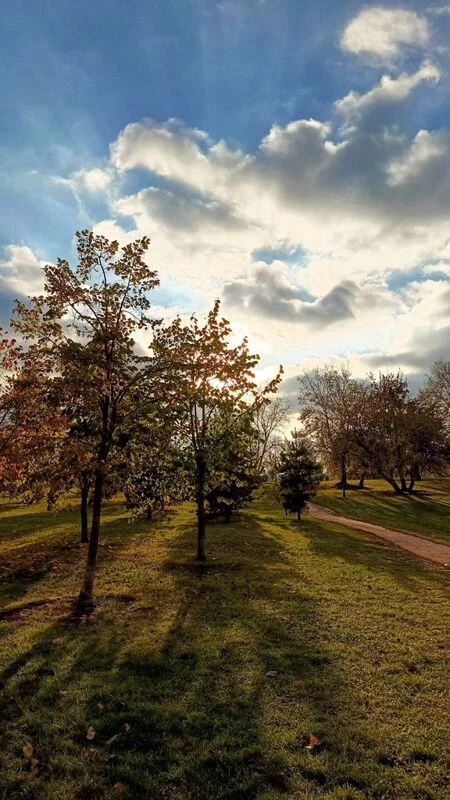 Такое разное небо