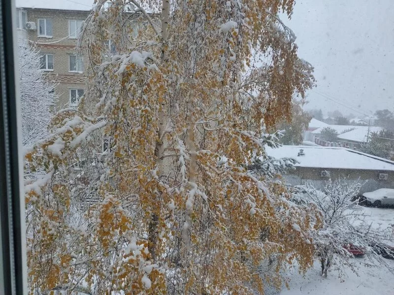 Чайная беседка