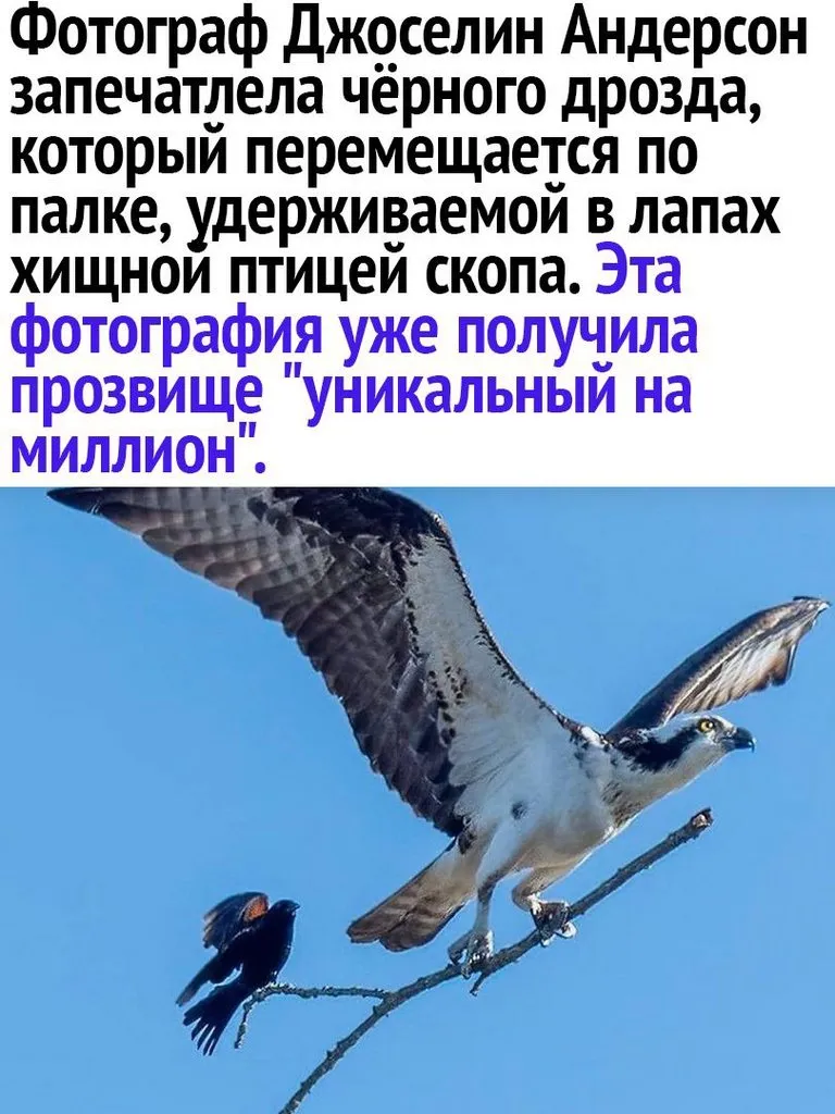 Это интересно!