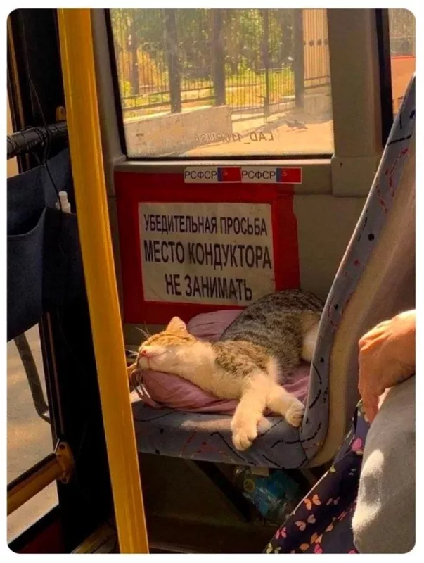 Посмеялся сам - поделись с другом!!!