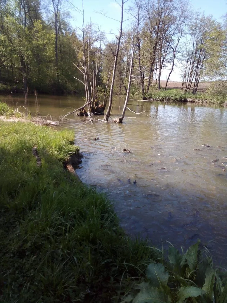 Чайная беседка