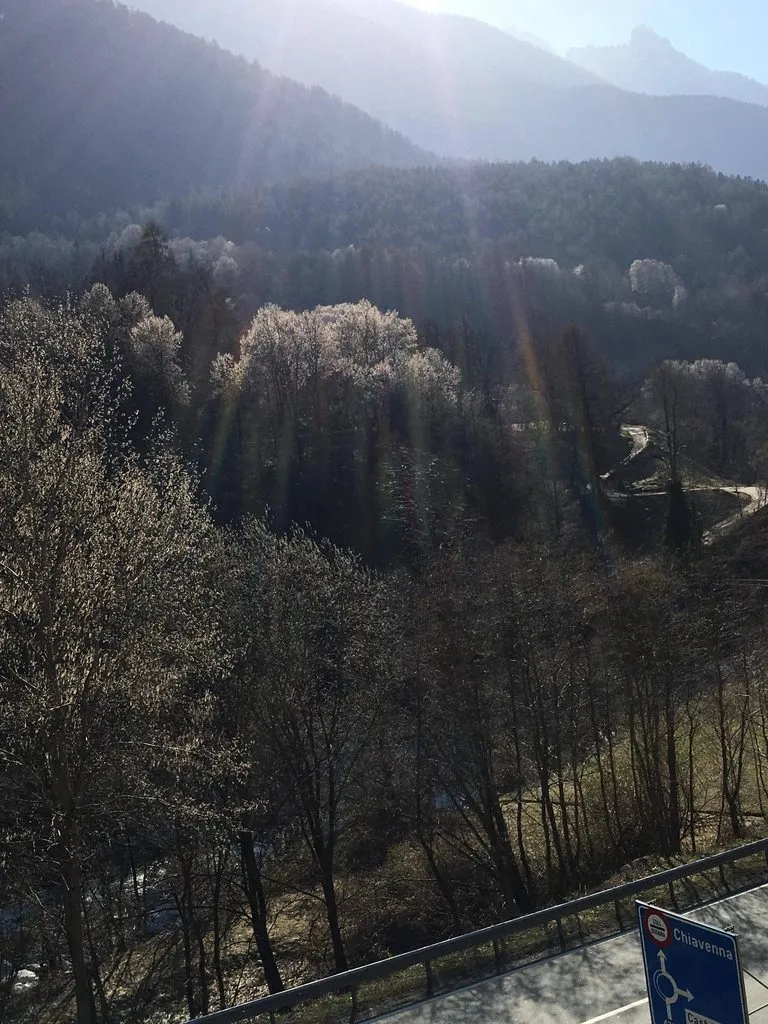 Чайная беседка