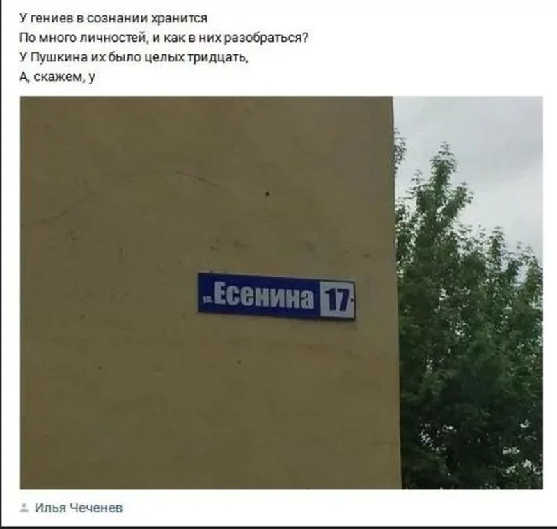 Всюду рифмы
