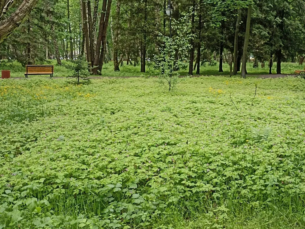 Калининградская область (не только море и янтарь) 
