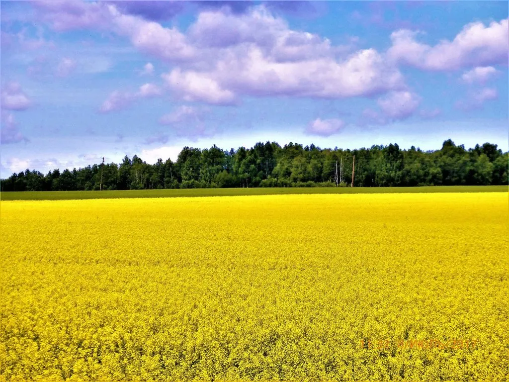 Tapтaлeтки & Ко