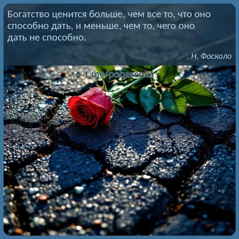 «Богатство ценится больше, чем все то, что оно способно дать, и меньше, чем то, чего оно дать не способно...» height="550" width="550"