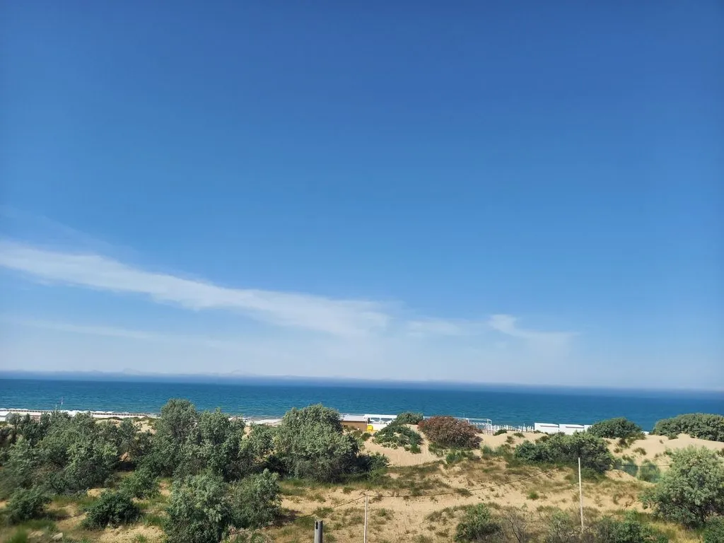 Чайная беседка