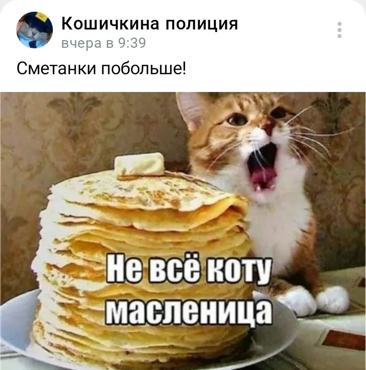 Кошичкина полиция