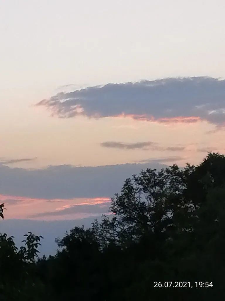 Чайная беседка