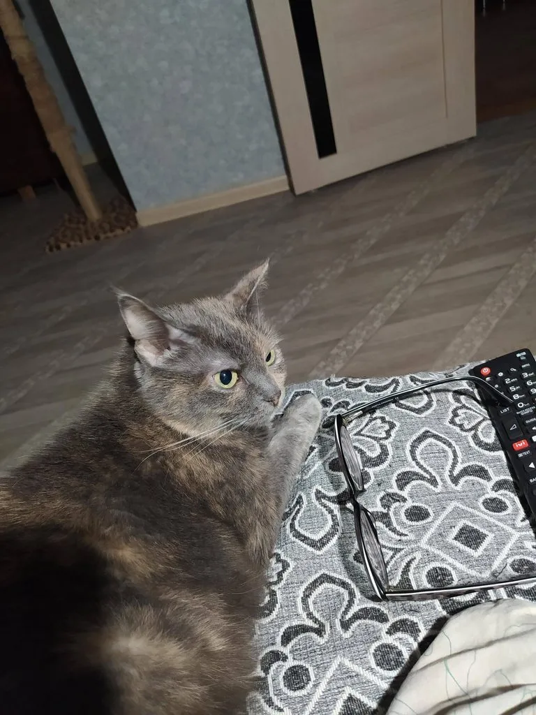 Tapтaлeтки & Ко