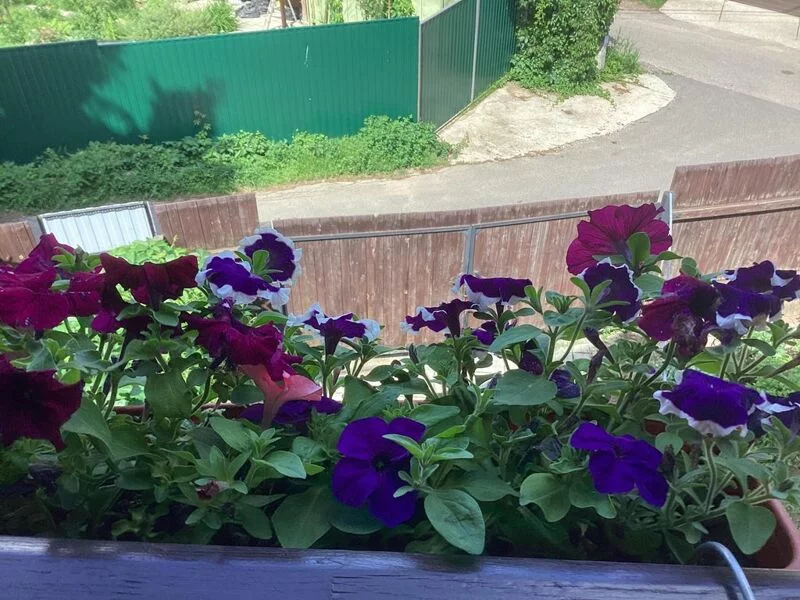 Загородная жизнь - обустройство на своей земле во всем ее разнообразии