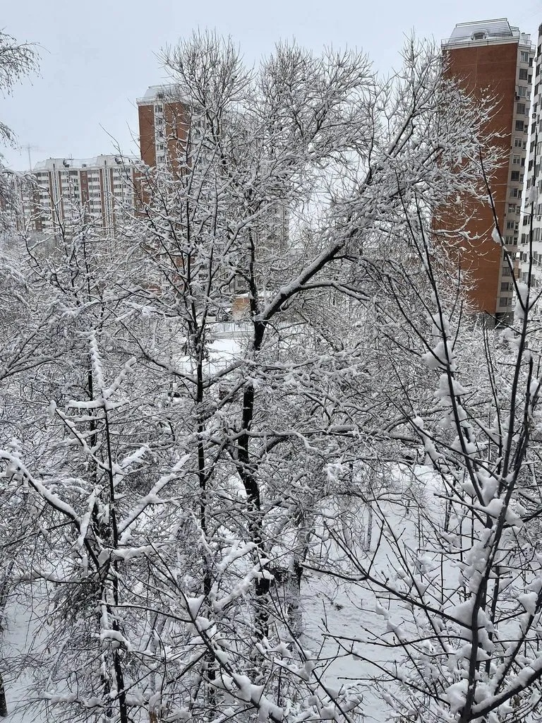 Tapтaлeтки & Ко
