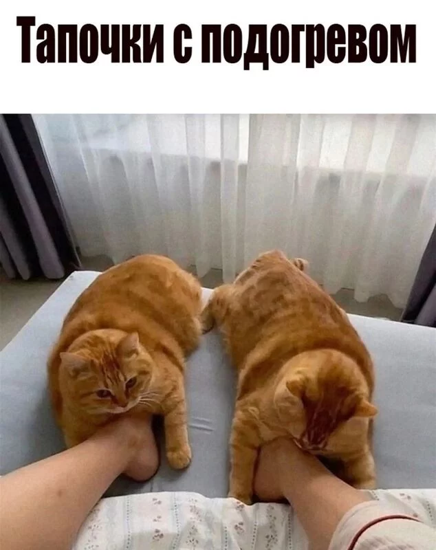 Посмеялся сам - поделись с другом!!!