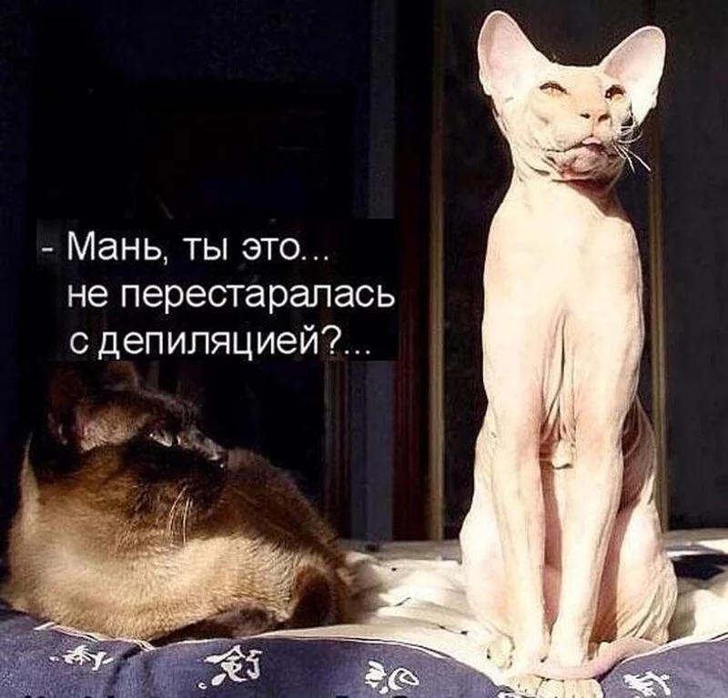 Посмеялся сам - поделись с другом!!!