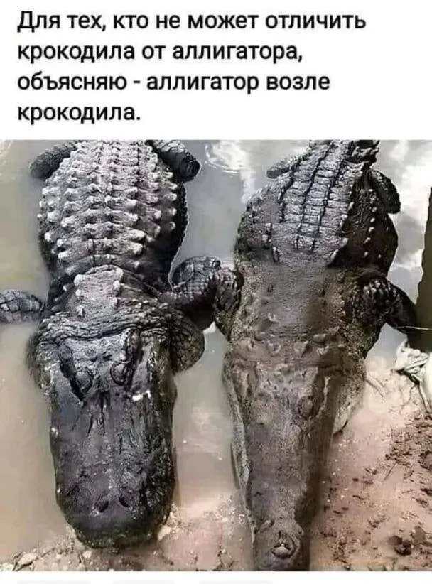 Посмеялся сам - поделись с другом!!!