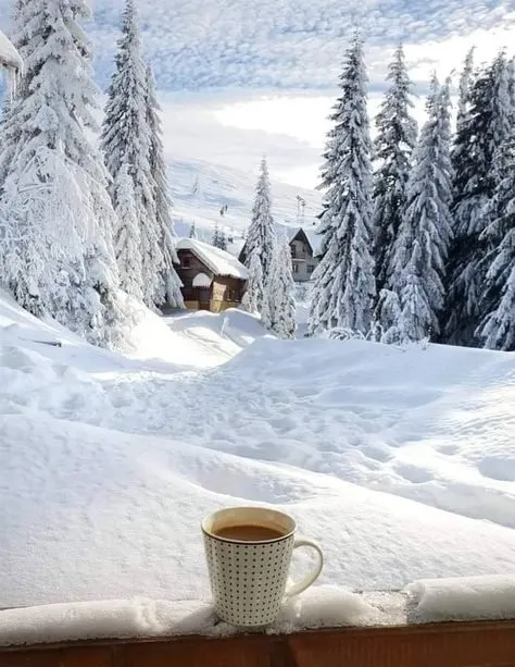 Tapтaлeтки & Ко