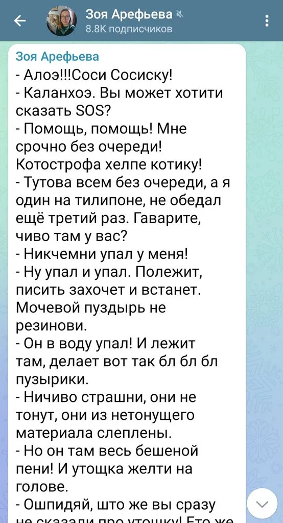 Кошичкина полиция