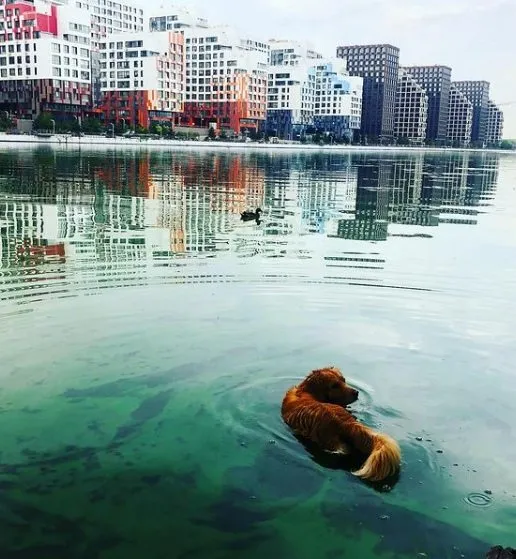 Коломенское