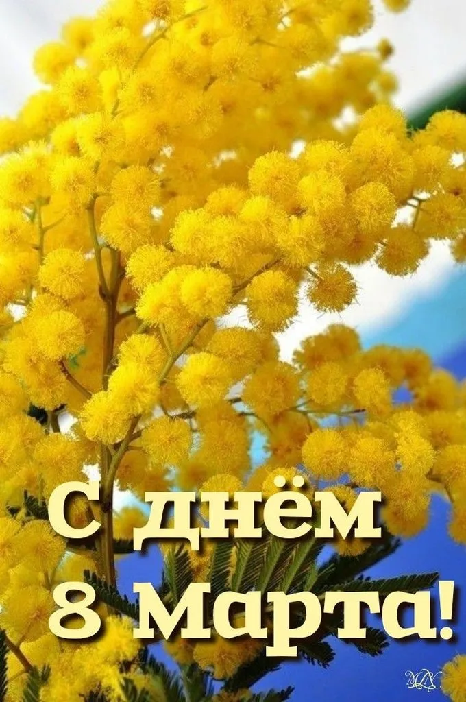 Кафе «У пани Сони»