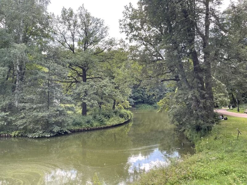 Чайная беседка