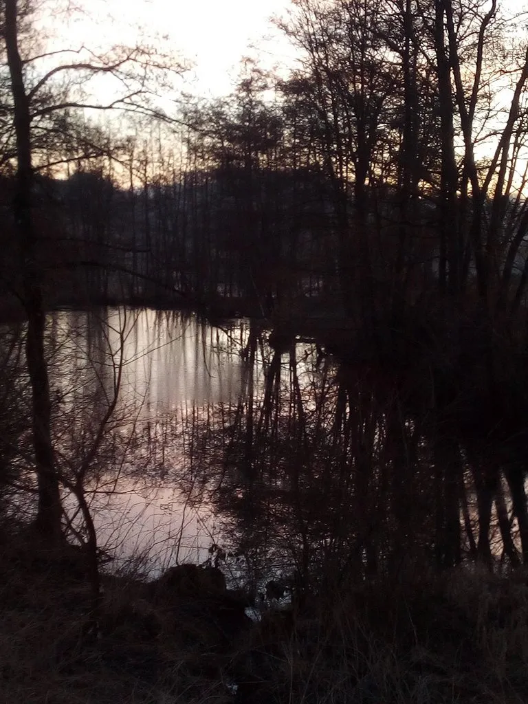 Чайная беседка