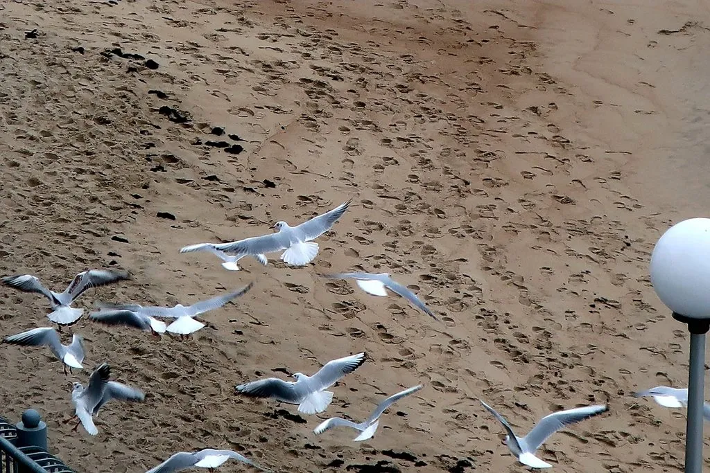 Ну здравствуй, Калининград! 35 лет спустя