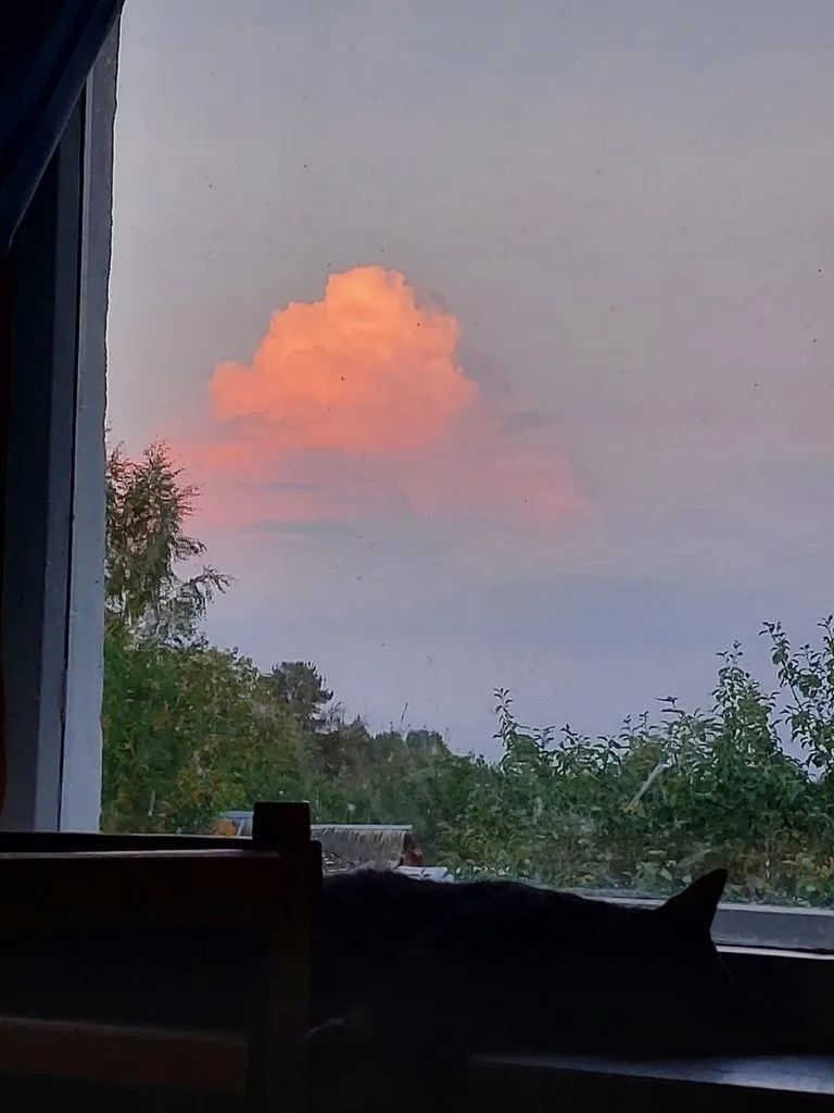 Такое разное небо