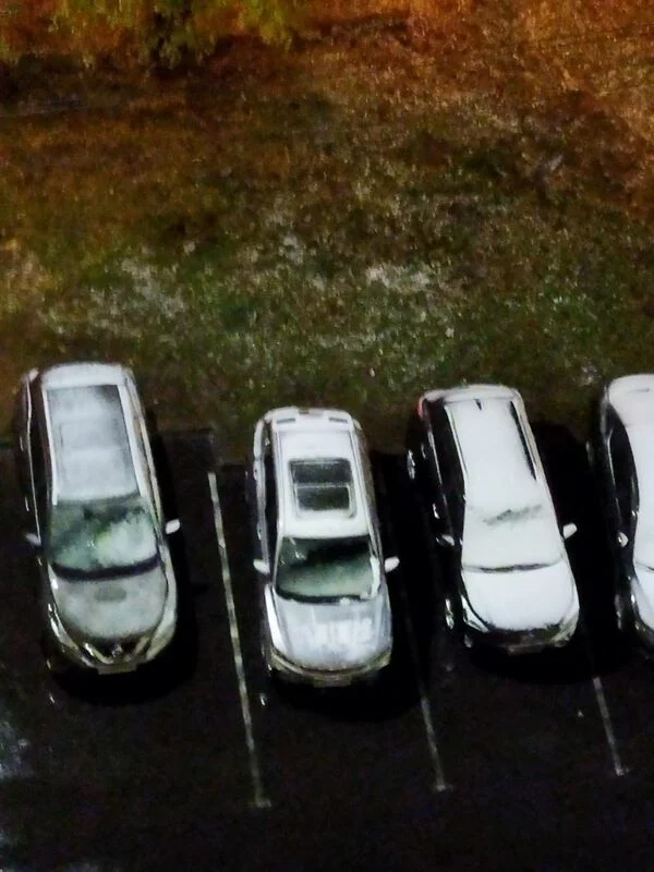 Чайная беседка