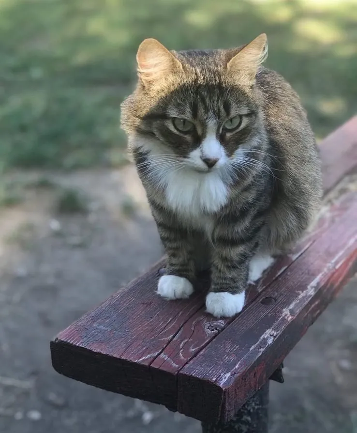 Рассказы для души
