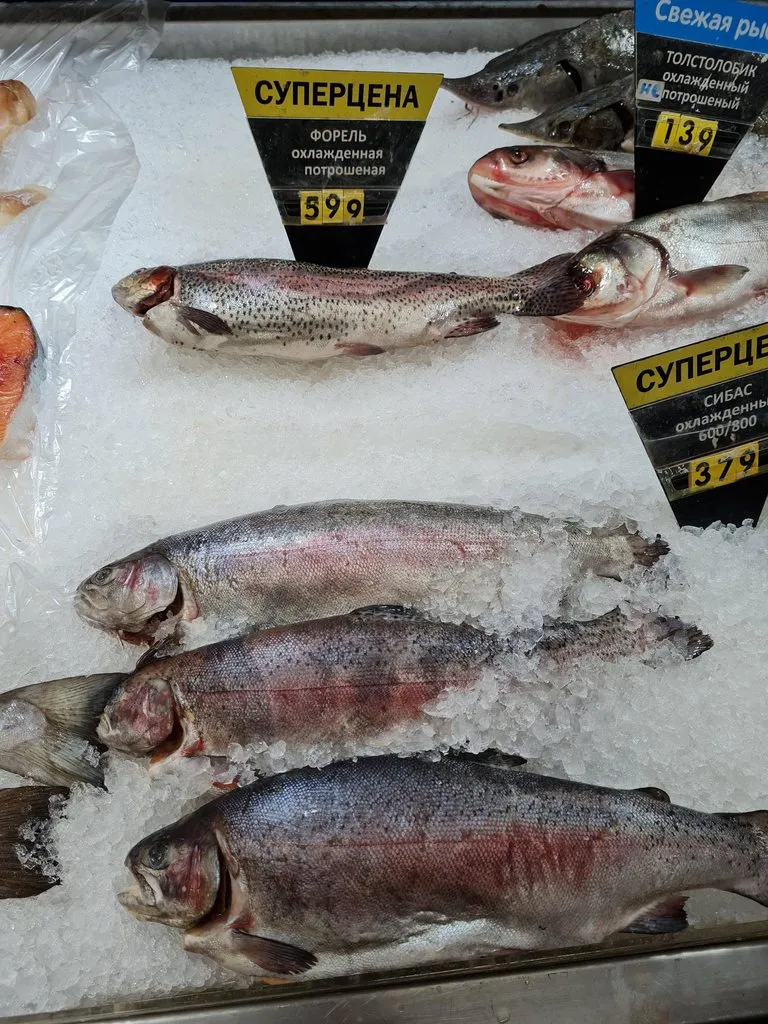 Где, что и когда купить в Москве