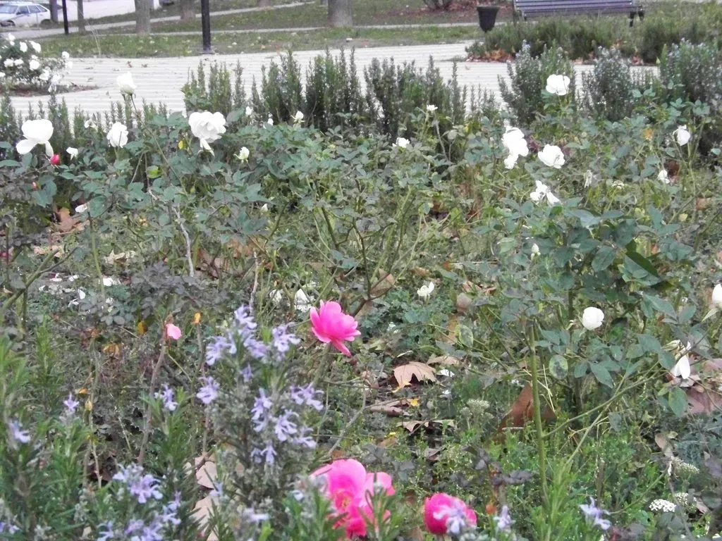 Чайная беседка