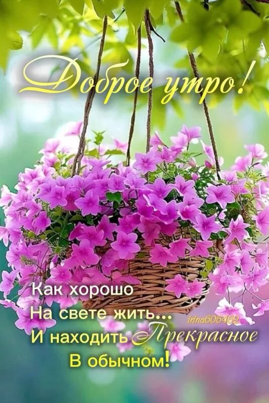 Кафе "У пани Сони"