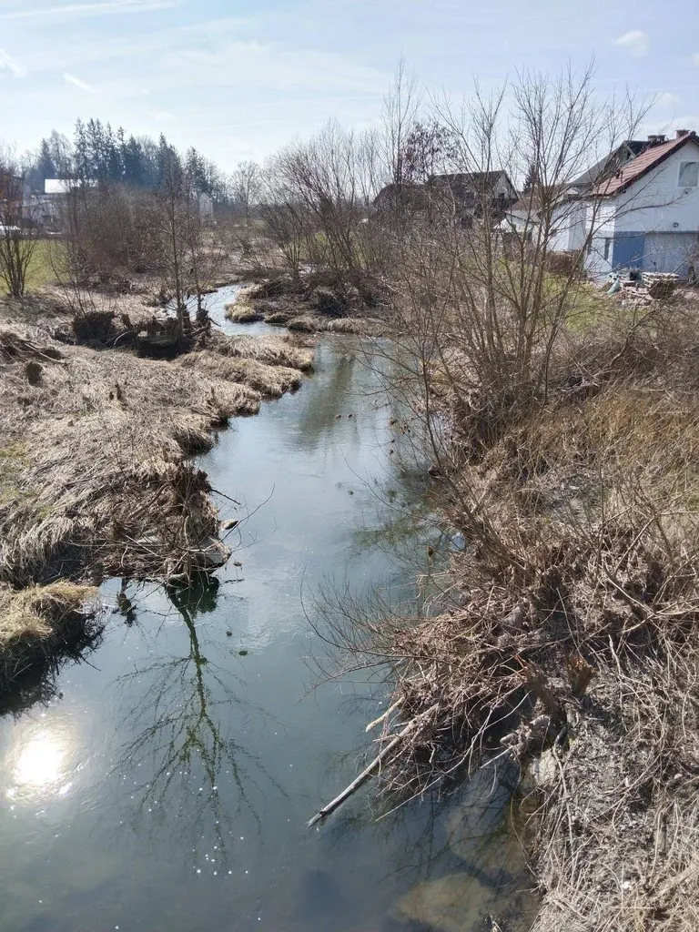 Чайная беседка