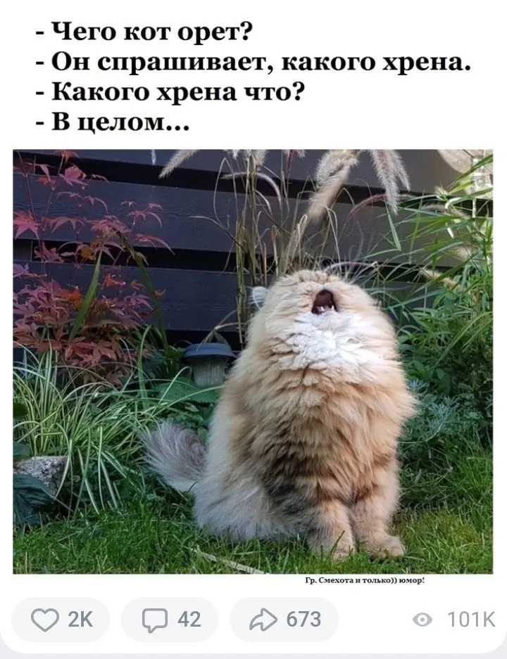 Посмеялся сам - поделись с другом!!!