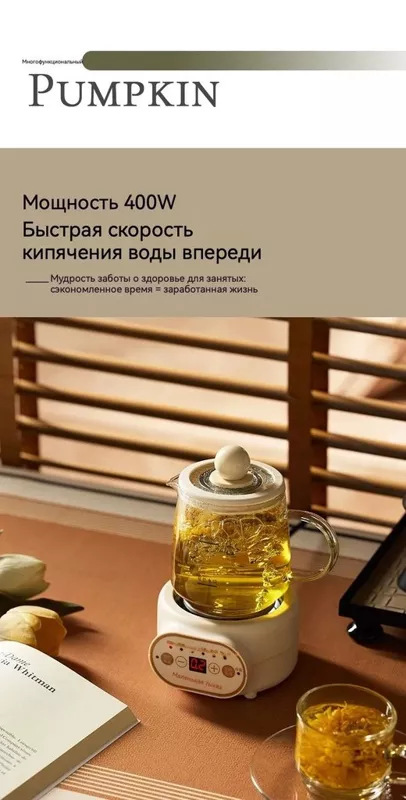 Электрический чайник Дяньшуйцзинцзи для заваривания чая, травяных и витаминных напитков, глинтвейнов
