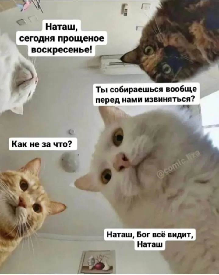 Кошичкина полиция