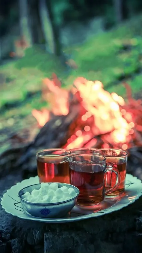 Чайная беседка