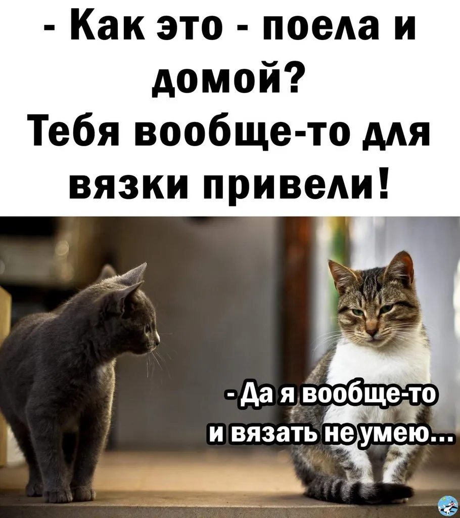 Tapтaлeтки & Ко