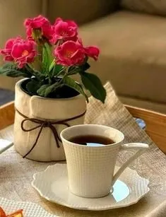 Tapтaлeтки & Ко