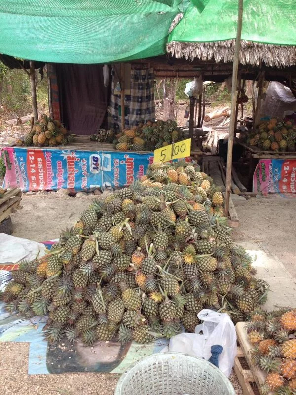 Чайная беседка