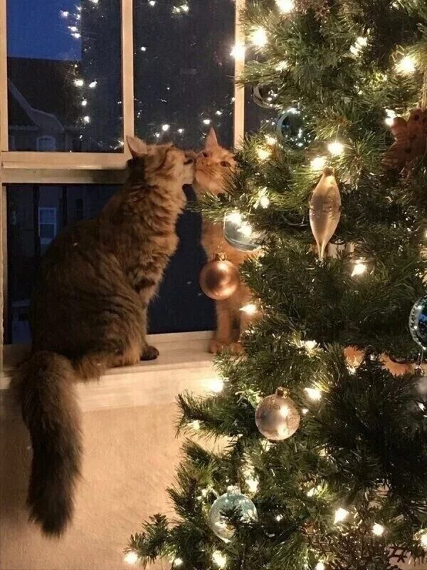 Рассказы для души