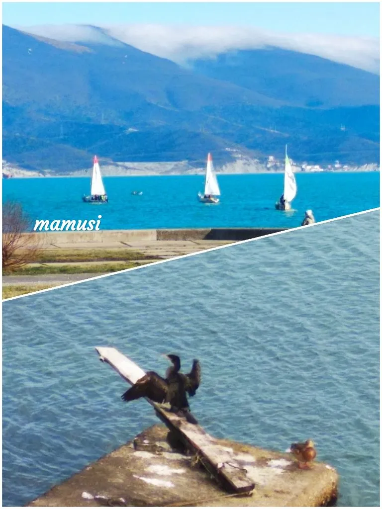 Кафе «У пани Сони»